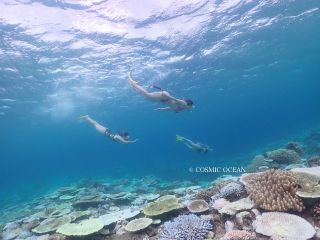 初心者歓迎でも安心スキンダイビングレッスン付き 美しいサンゴと熱帯魚が泳ぐ瀬底島の海へ!**バナナボートでウミガメを探しに行こう。**会えたらラッキー!