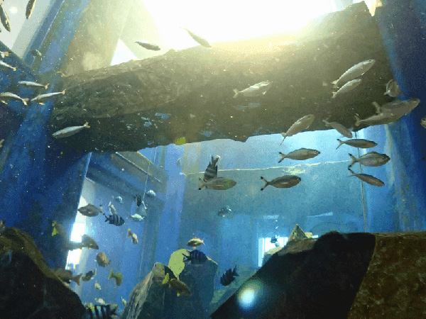 ɓƂȊł ͔NԒʂ23`25ƒgAx͂łEEEE[[܂Ō܂i΁j ō̃RfBVłˁI