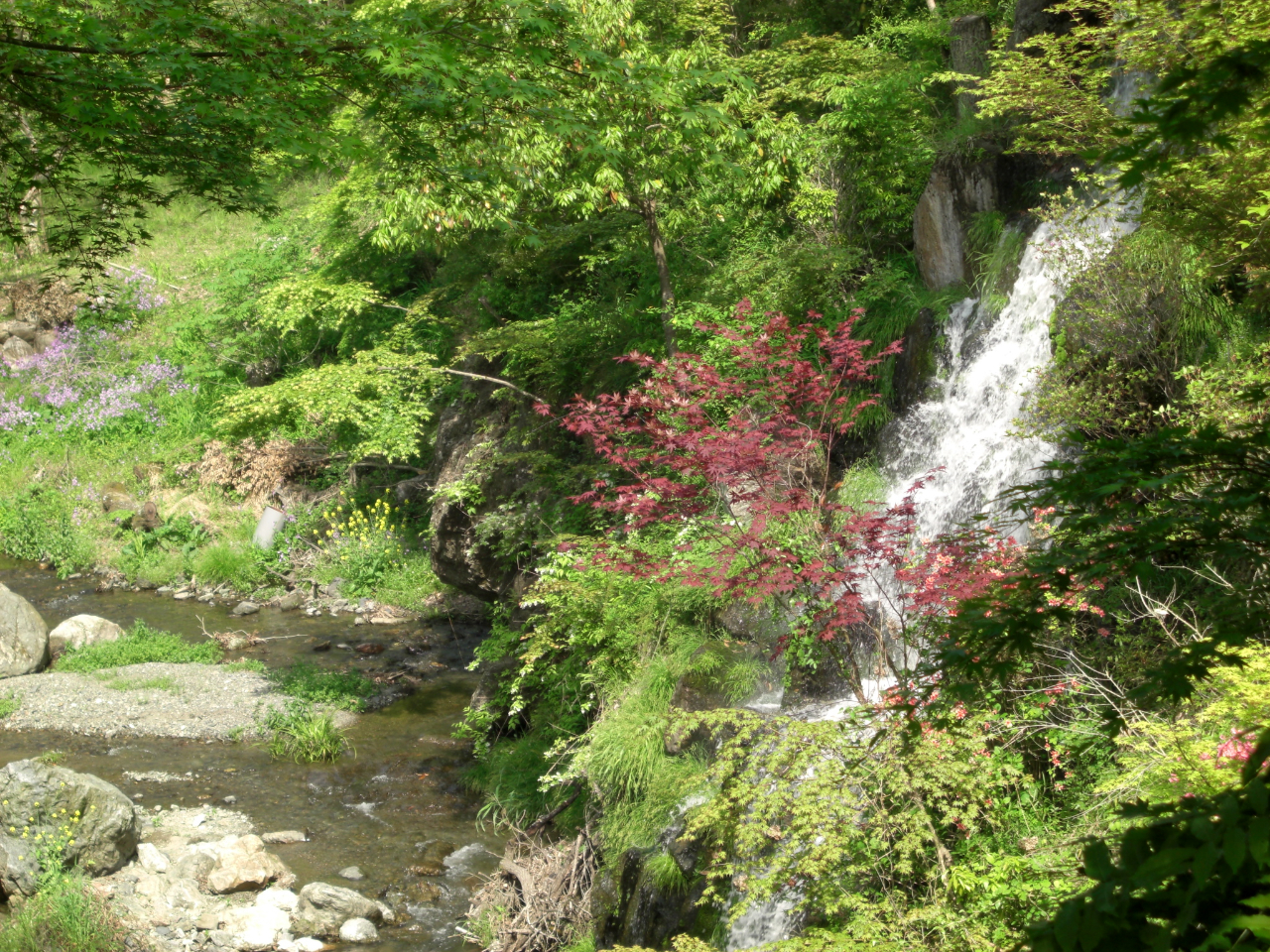 満願滝を眺めながらリフレッシュ♪