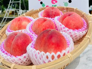 会津の夏の太陽の恵み【もも】