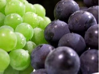 ジューシーな大粒ぶどう各種ございます☆
