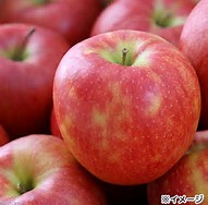 �W���i�S�[���h�ʐ^