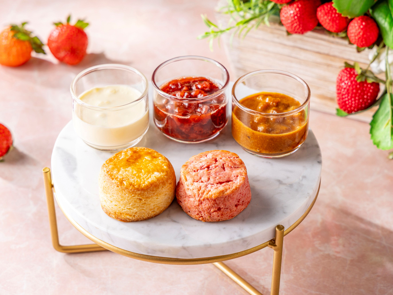 v[XR[AXgx[N[`[YXR[iNebhN[^䕂ƃoT~R|W^AbvLN[j