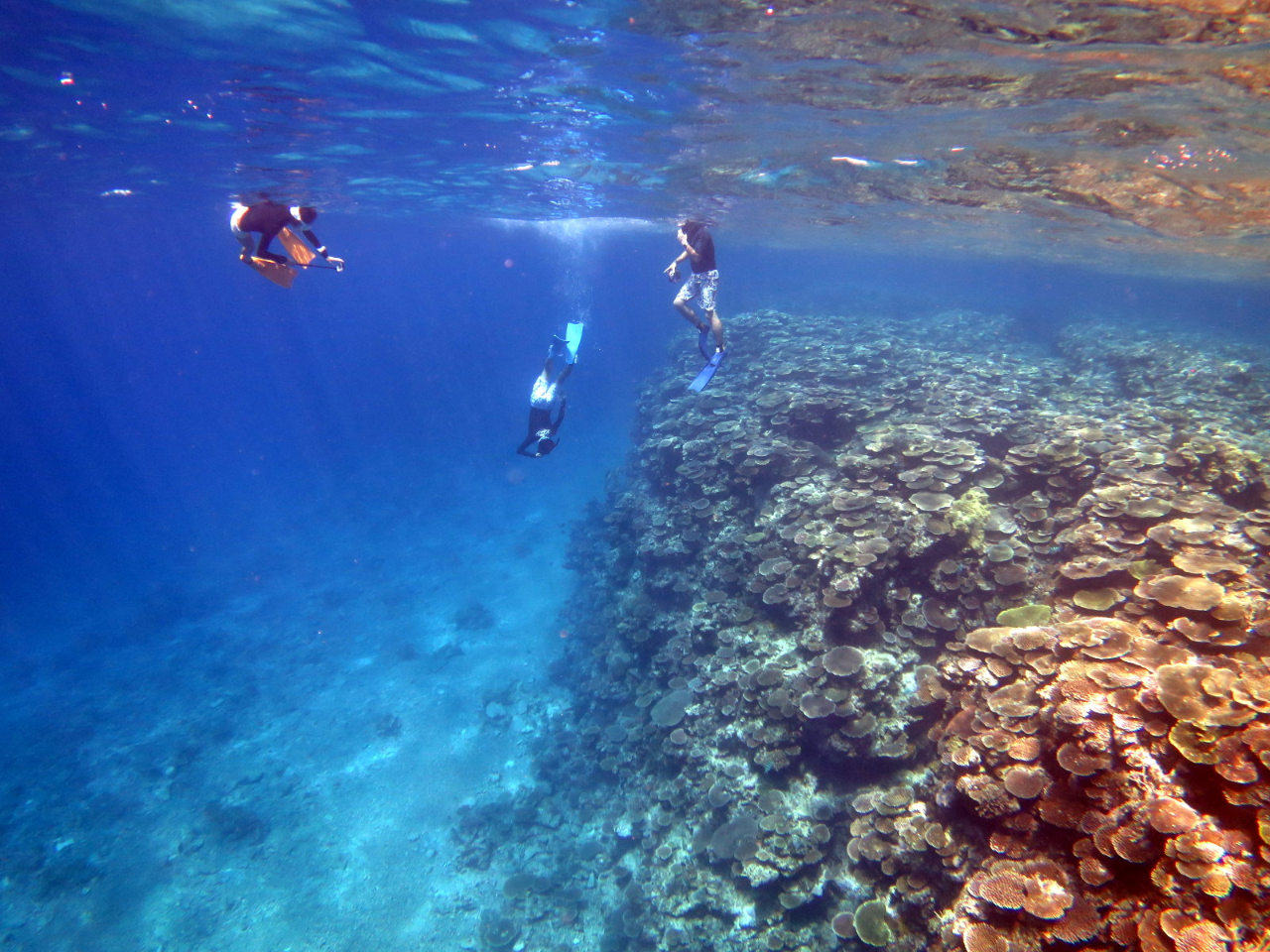 XL_Co[Af肵lOKB邾łɊy݂܂B