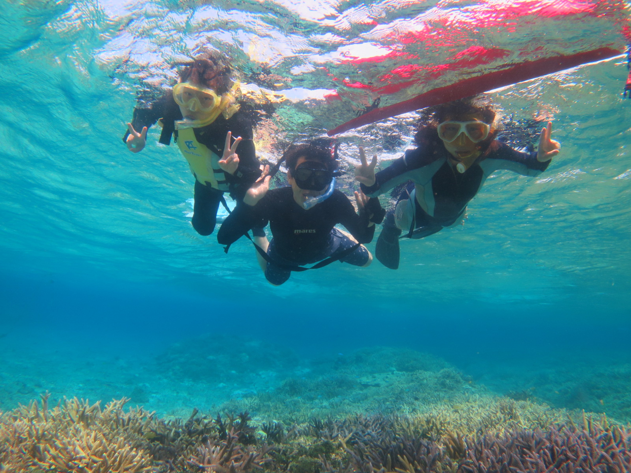 NEʊ֌WȂA݂ȂŊy߂̂Vm[PÔƂB