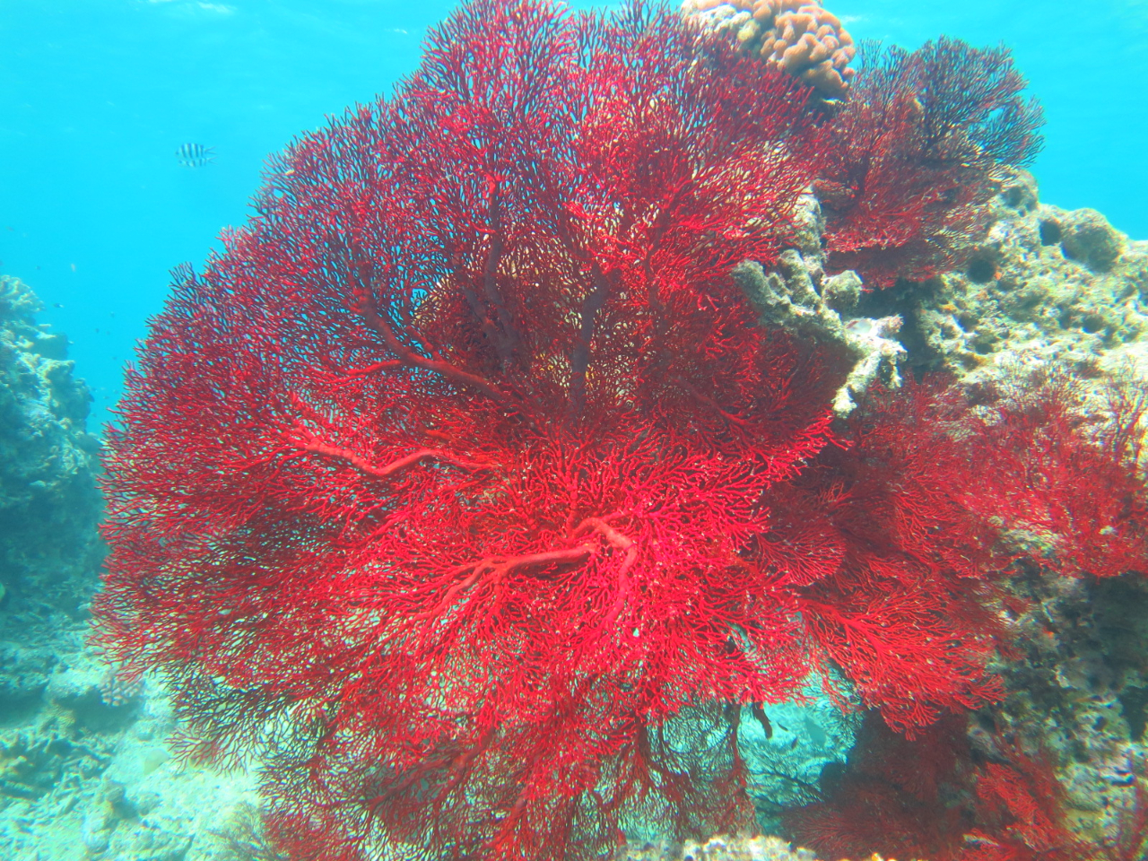 10ȏ゠|CgBCEExENGXgȂǂlāȀꂻ̏Ń`CXĂ܂B