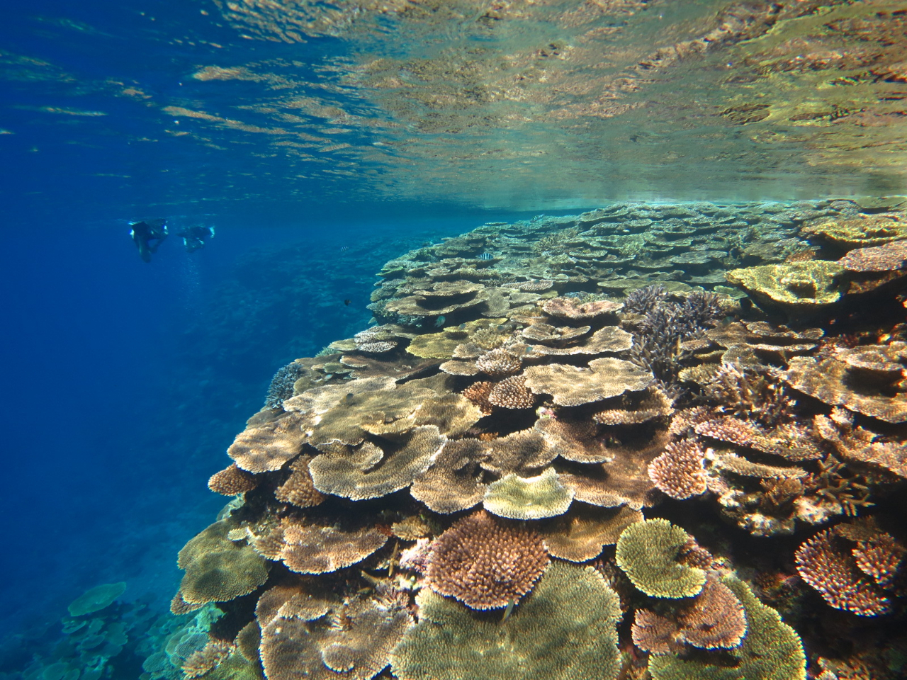 cA[ł2|CgՂVт܂傤B