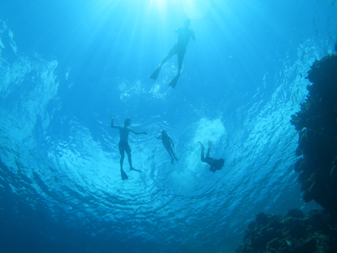 �����ł���o�ɂ��H�Ƃɂ����C���������`�B