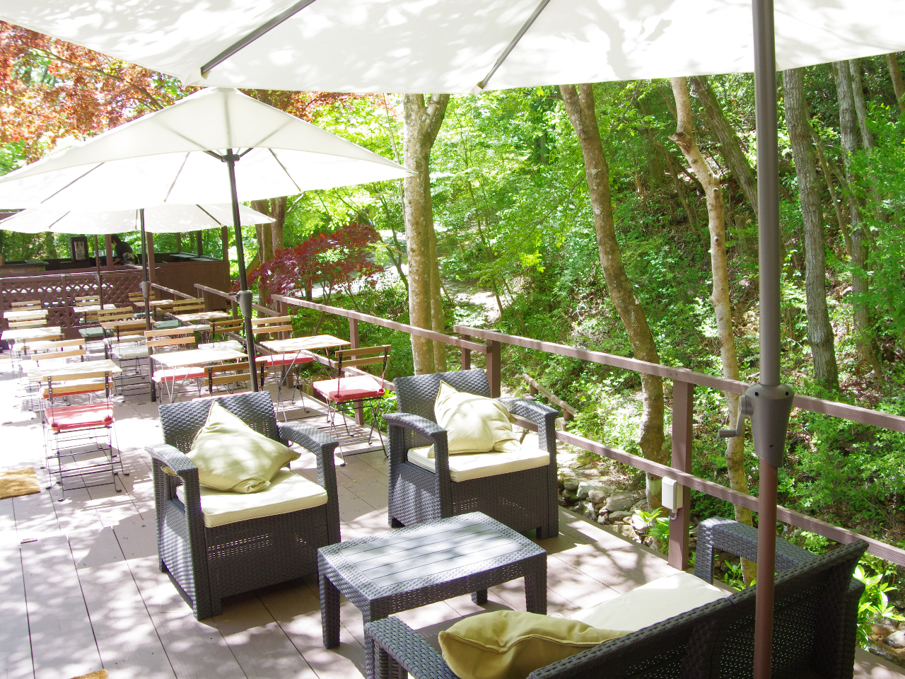 �Ă͐쉈���̃e���X�ɂĂ܂��������ł���������