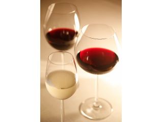 赤 白ワイン最大3時間飲み放題 ホテルランチブッフェ 横浜伊勢佐木町ワシントンホテル レストラン Aquamarine じゃらん遊び体験