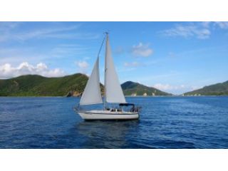 綺麗なサンゴ礁での体験ダイビング+シュノーケリング+ヨットクルーズ。ウミガメもいる加計呂麻島,奄美南部,大島海峡,初心者体験ダイビング1