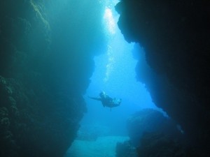 哇_CrOXN[I[vEH[^[CZX2