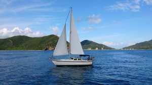 綺麗なサンゴ礁での体験ダイビング+シュノーケリング+ヨットクルーズ。ウミガメもいる加計呂麻島,奄美南部,大島海峡,初心者体験ダイビング1