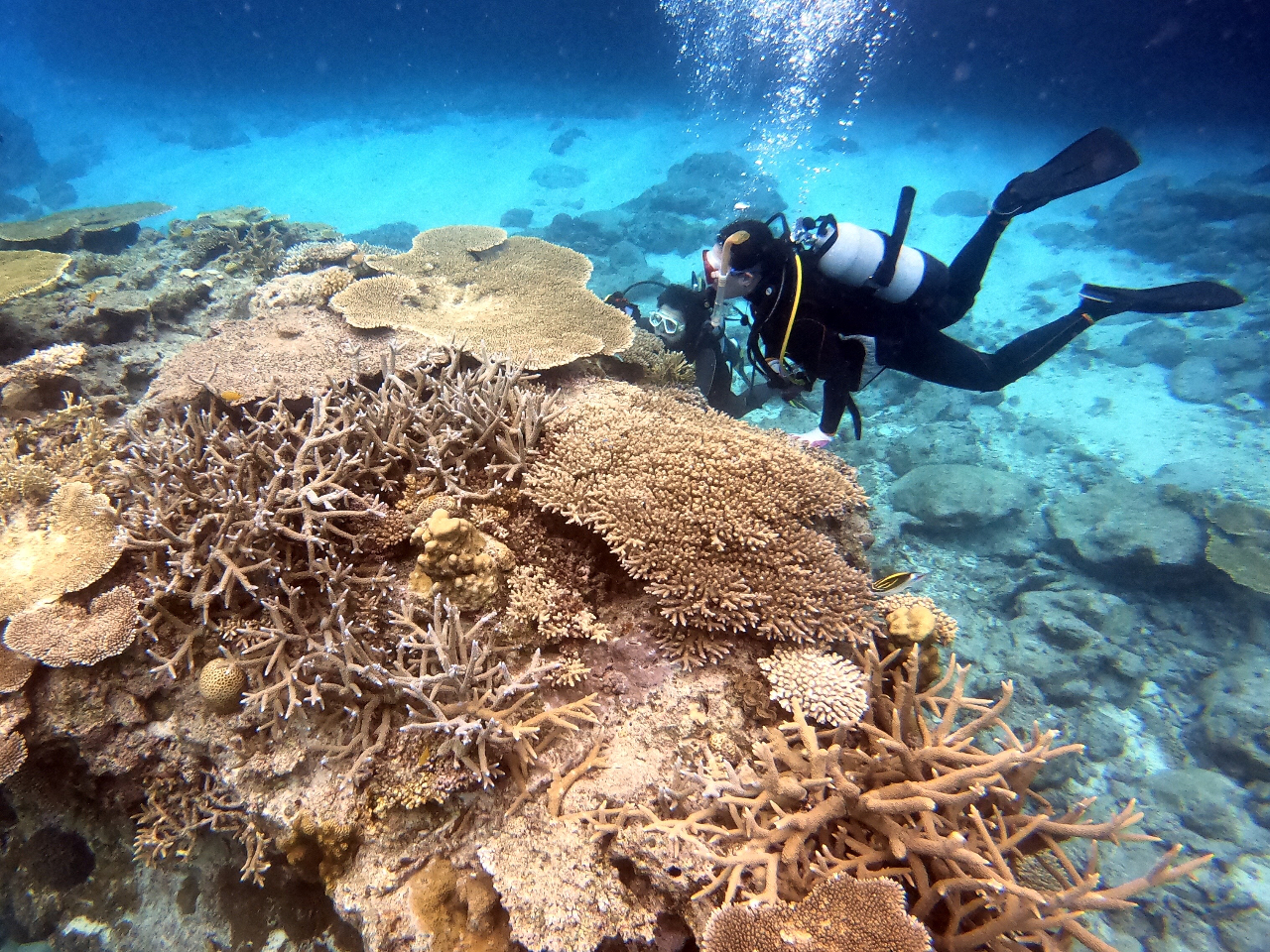 TS|Cg͈IhȃTSR̂Ő܂Ȃ悤ɋCtāI