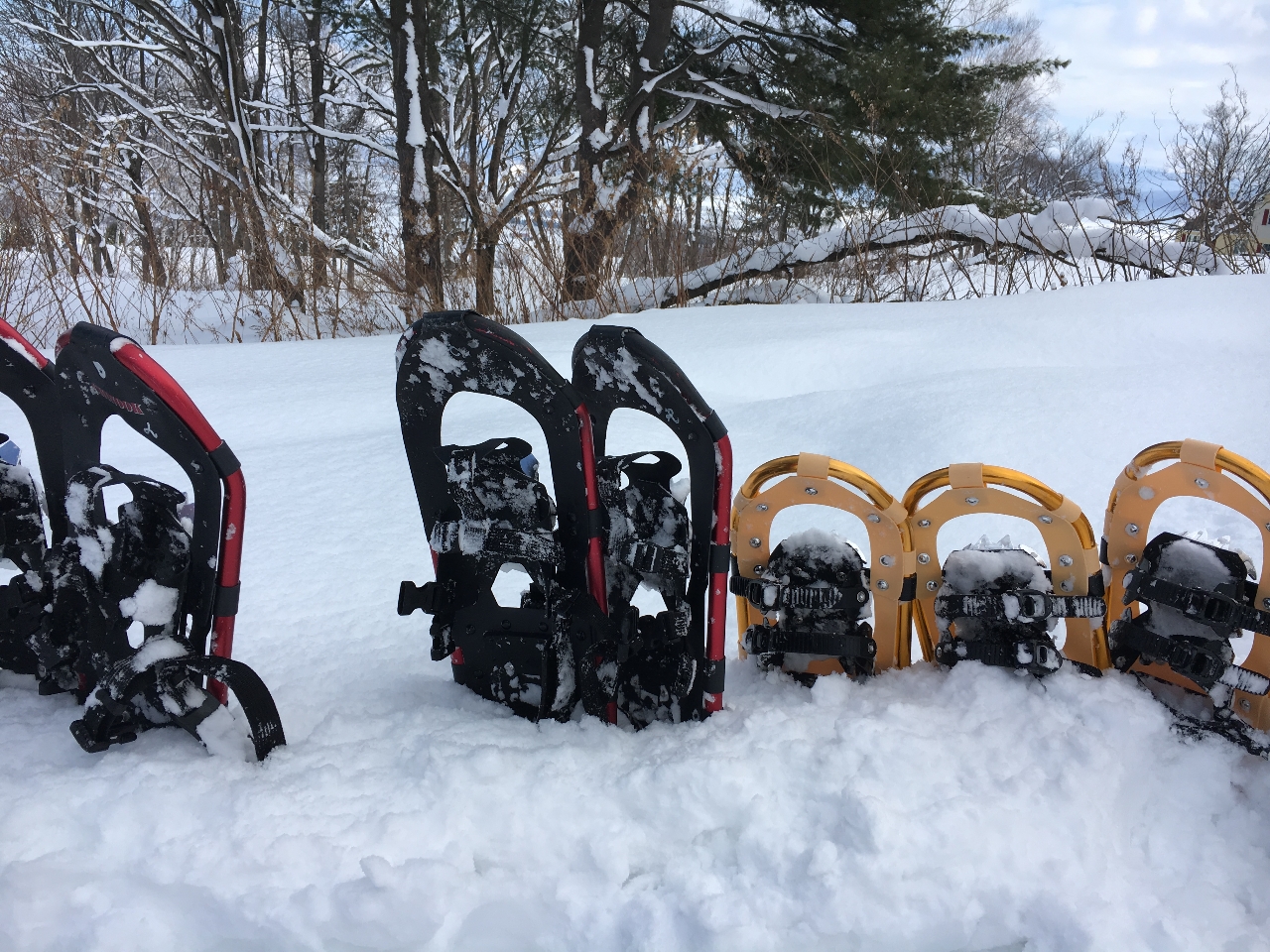 スノーシュー フカフカの雪の上をスイスイと歩けます。