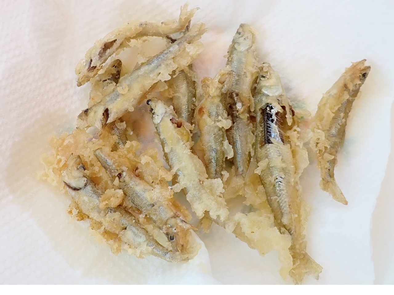 ނꂽ킩͓VՂɂĂオł܂B