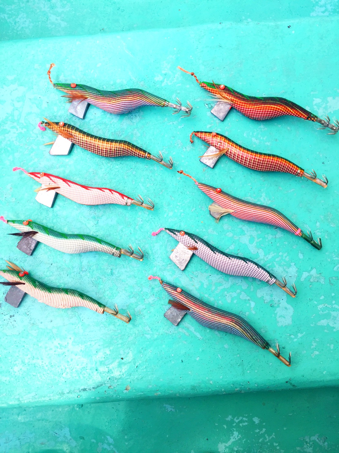 グループで貸切 イカエギ釣り体験 夕方からお手軽アクティビティ 釣れたイカを 観光漁船 七宝丸 じゃらん遊び体験