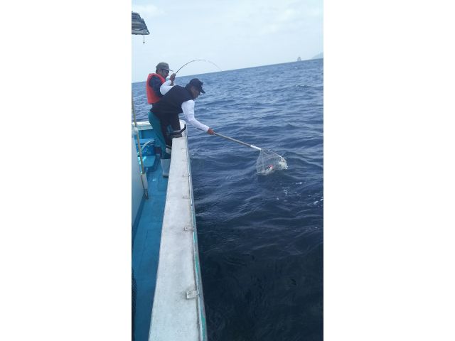 鯛ラバ釣り体験 手ぶらでok 道具一式レンタル料込 約2時間のお気軽釣り体験 観光漁船 七宝丸 じゃらん遊び体験 鯛ラバ釣り体験 手ぶらでok 道具一式レンタル料込 約2時間のお気軽釣り体験 観光漁船 七宝丸 じゃらん遊び体験