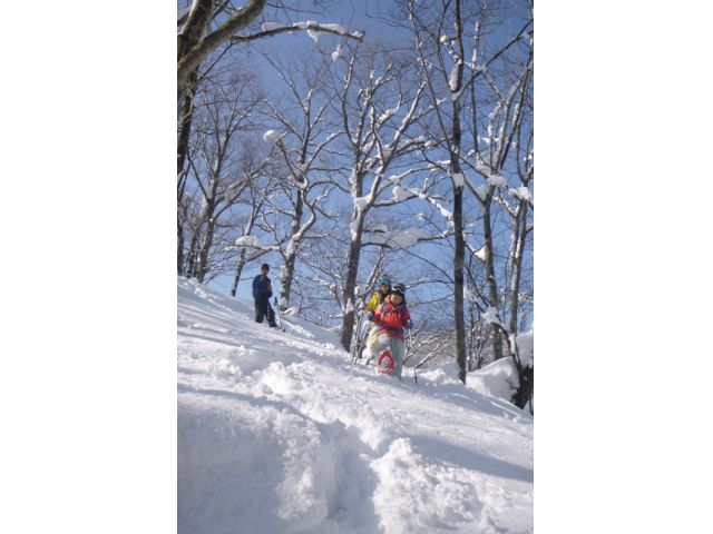 アウトドアサポートシステム:ひるがの高原スノーシュー 半日コース