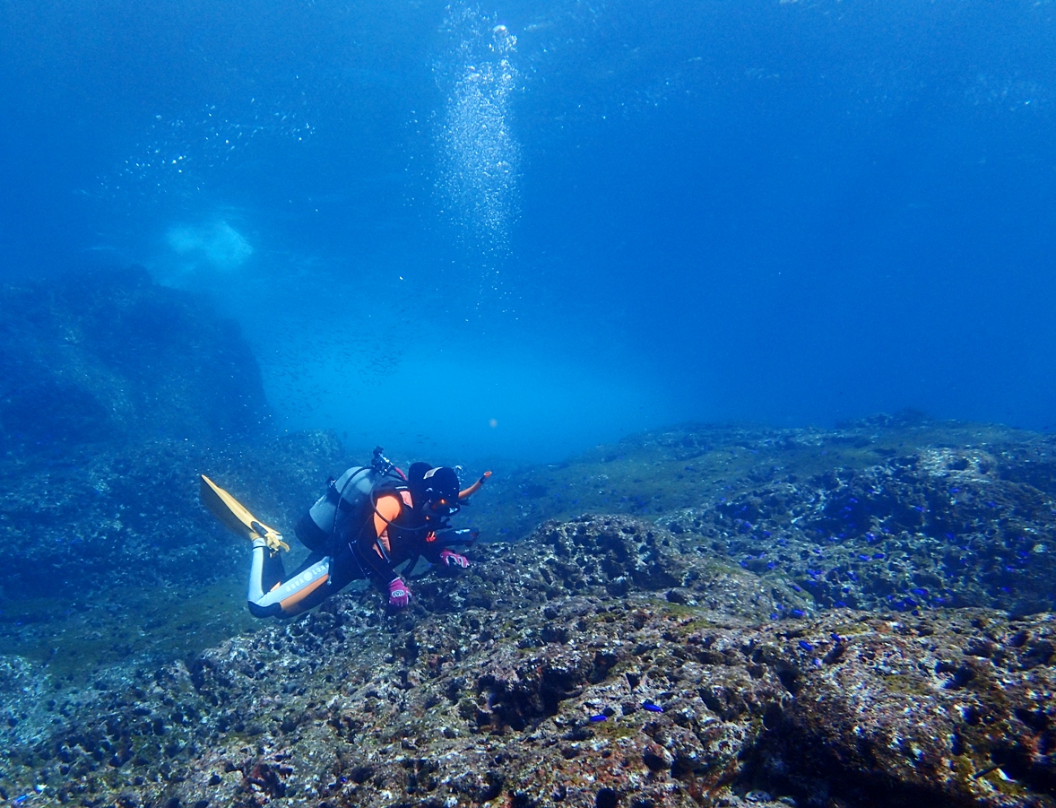 夏から秋にかけての透明度は離島にも負けません!時には30mオーバーも!!
