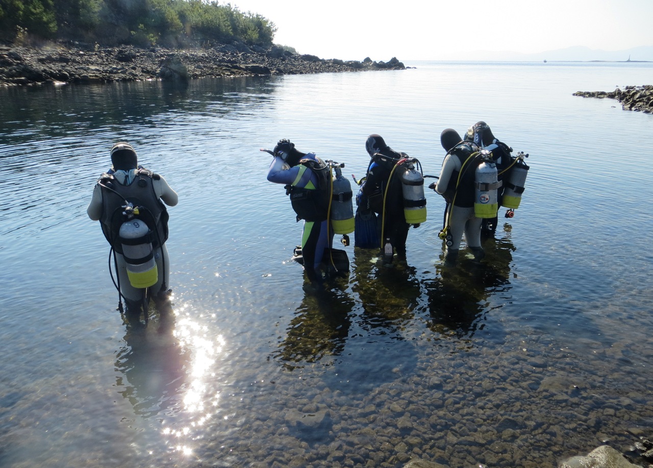 ̑吳啬΂ŏoVJEEEPCpʔ|Cg̈łB