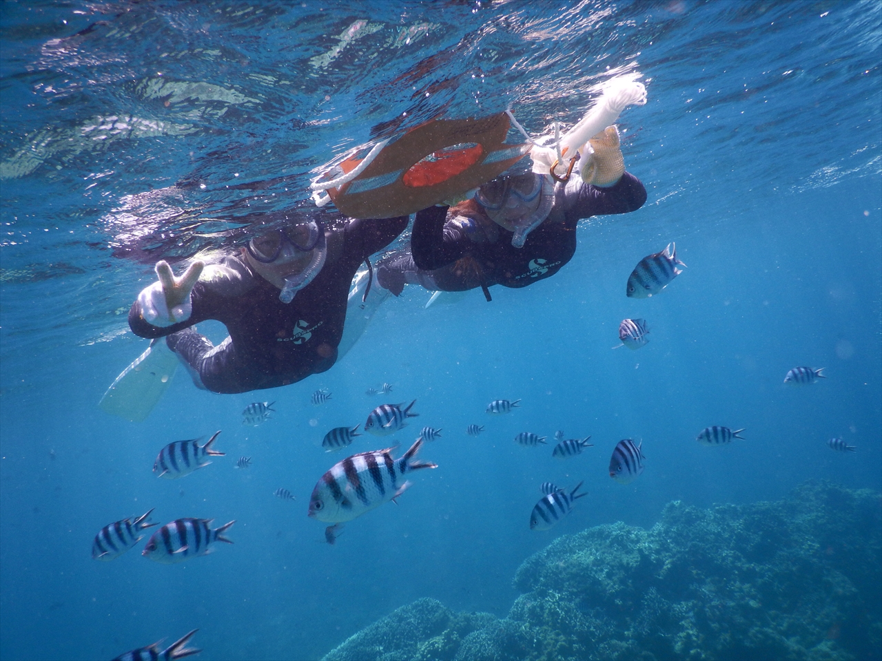 ̓AVm[PO͂ς̃|CgցI