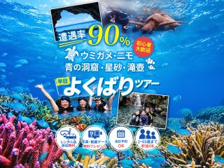 ウミガメ・クマノミ・青の洞窟・星砂・滝壺 半日よくばりツアー
