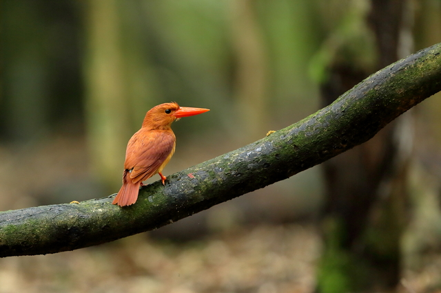 AJVEr@JZ~̒ԂłBƓ̖Ŗ̂ŁAɂƕ܂B