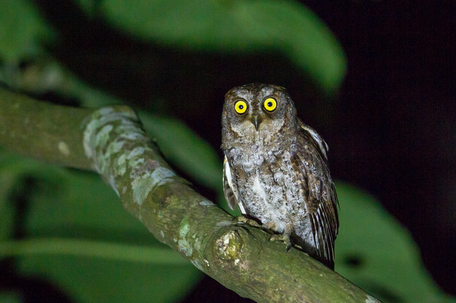 ELERmnYN@tNE̒ԂłBuz`z`vƉ炵Ŗ܂B