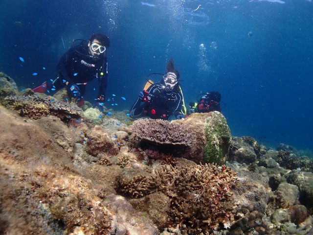 長崎 体験ダイブ 専用ボート 水中ジェットで遊べるよ アクアフェイスダイビングスクール じゃらん遊び体験 長崎 体験ダイブ 専用ボート 水中ジェットで遊べるよ アクアフェイスダイビングスクール じゃらん遊び体験