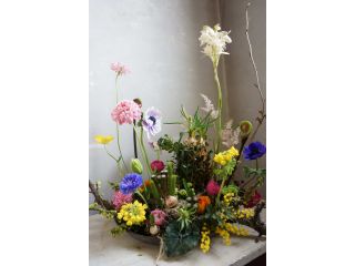 当日予約ok トロピカルフラワーアレンジ 長持ち エネルギッシュフラワー 器代金込み Tokolo Flower Green じゃらん遊び体験 当日予約ok トロピカルフラワーアレンジ 長持ち エネルギッシュフラワー 器代金込み Tokolo Flower Green じゃらん遊び体験