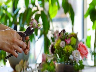 当日予約ok トロピカルフラワーアレンジ 長持ち エネルギッシュフラワー 器代金込み Tokolo Flower Green じゃらん遊び体験 当日予約ok トロピカルフラワーアレンジ 長持ち エネルギッシュフラワー 器代金込み Tokolo Flower Green じゃらん遊び体験