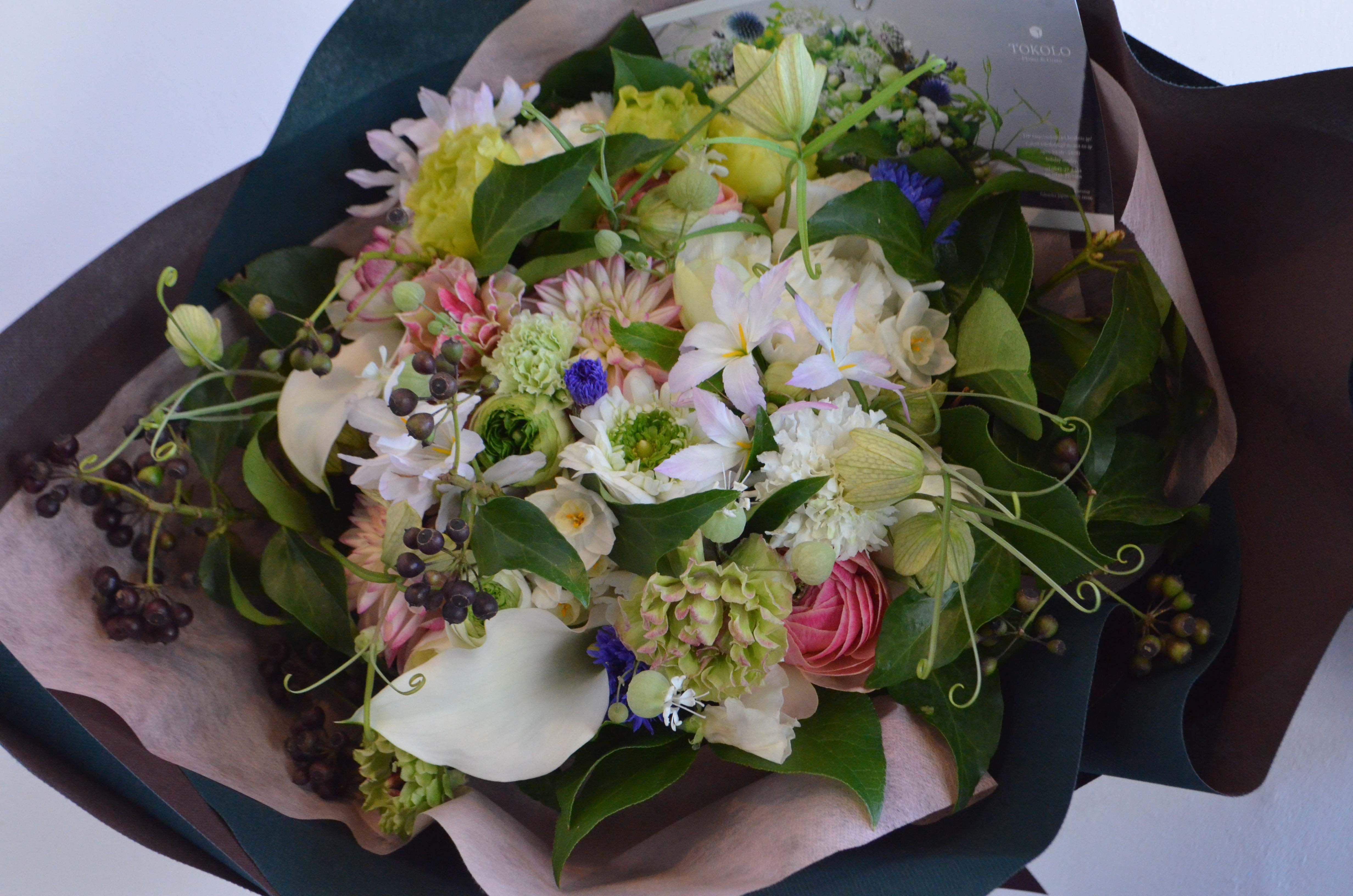 寄せ植えlesson 花鉢やハーブなどの10種類をフリーチョイス 女性におすすめ Tokolo Flower Green じゃらん遊び体験