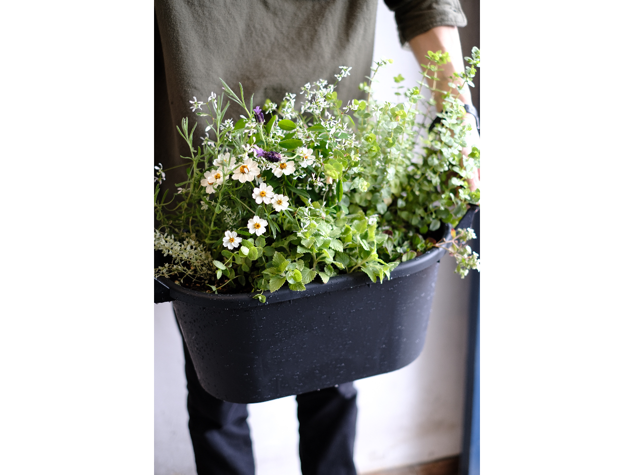 春の寄せ植え 花鉢やハーブなどの10種類をフリーチョイス 女性におすすめ Tokolo Flower Green じゃらん遊び体験 春の寄せ植え 花鉢やハーブなどの10種類をフリーチョイス 女性におすすめ Tokolo Flower Green じゃらん遊び体験