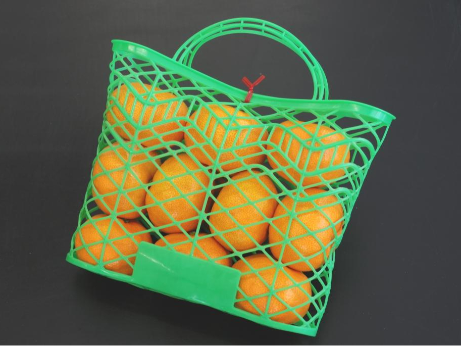 みかん1kgお土産付(幼児除く)