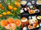 みかん狩り・時間無制限食べ放題!+選べる釜飯(あさり釜飯)