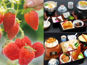 4/6～◇◇いちご狩り＋選べる釜飯セット｜ 時間無制限・食べ放題！高設 