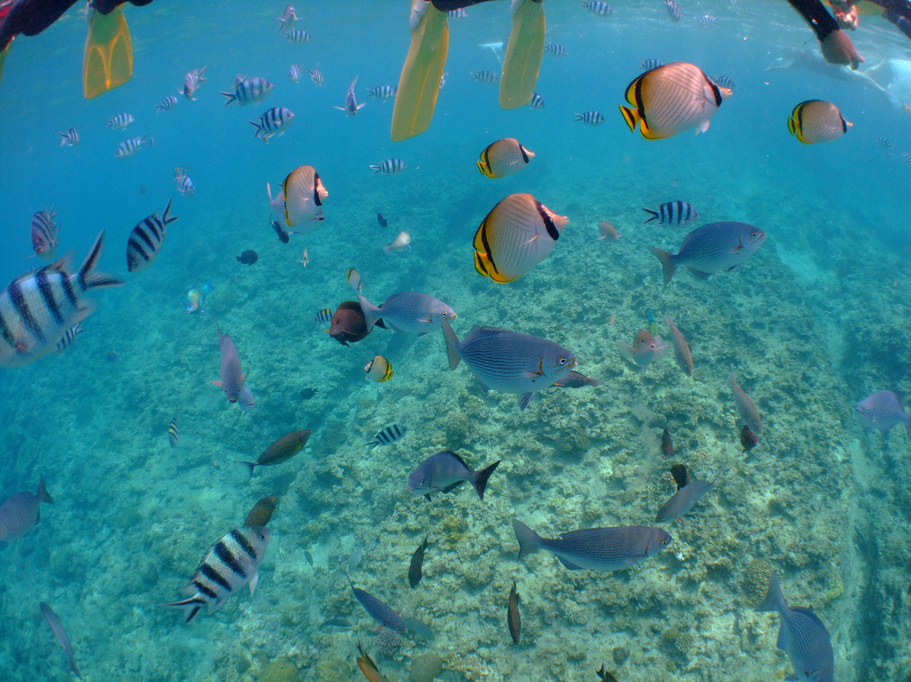 jȂEqlENz̕łCyɊy߂܂B