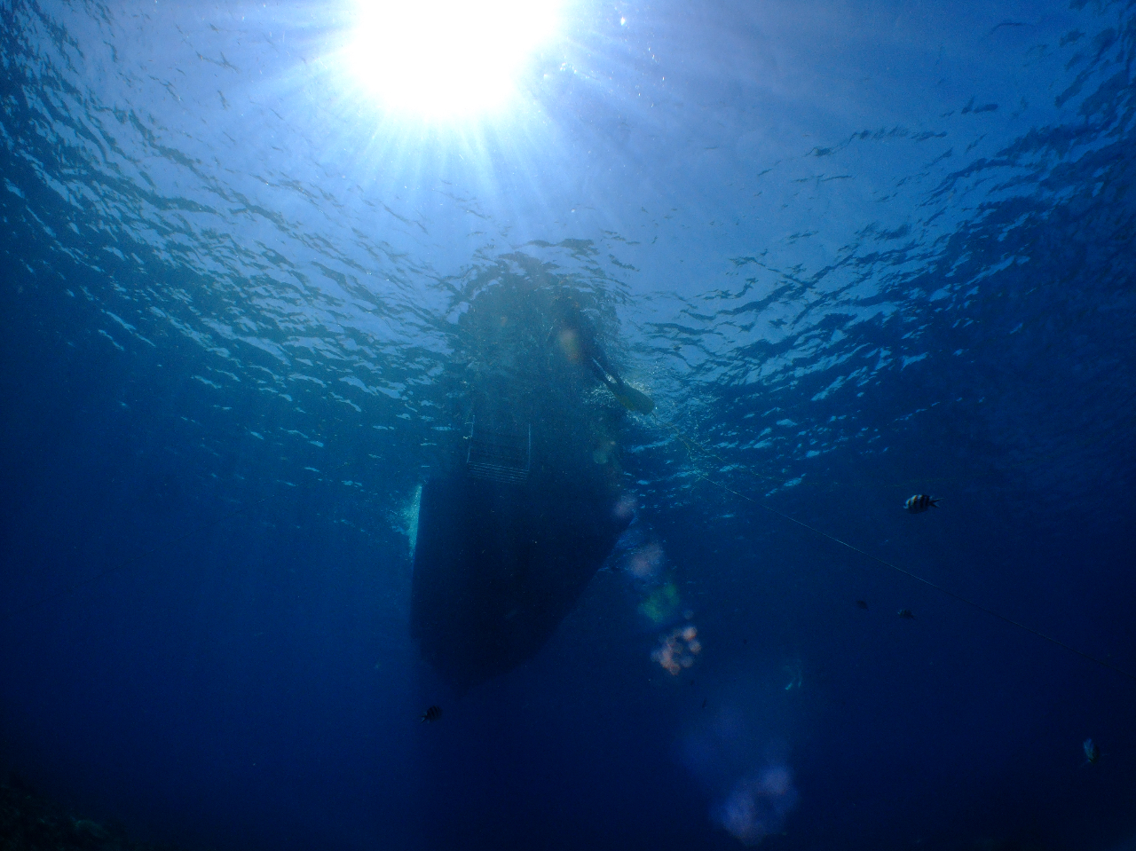 KCh15Nȏ̃CXgN^[s܂BSB