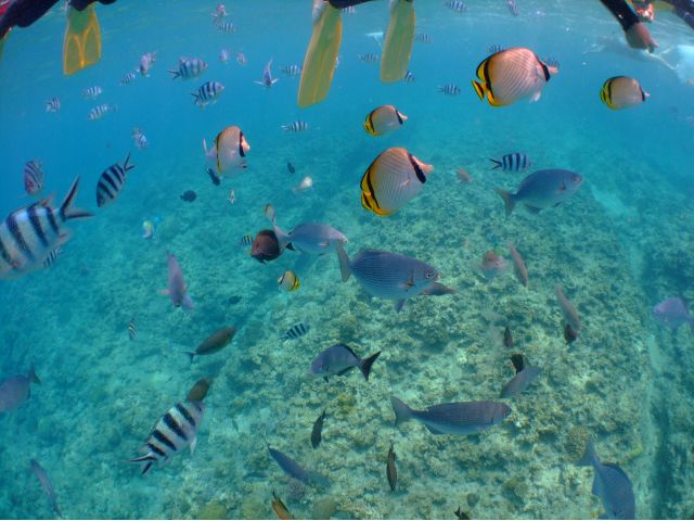 泳げない方・お子様・ご年配の方でも気軽に楽しめます。