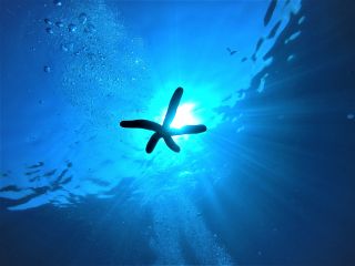 スペシャルウイーク じゃらん限定 お一人様専用プランも割引 青の洞窟シュノーケリング Gopro写真動画その場で無料転送 泳ぎが苦手でも大丈夫 熱帯魚に 餌やりもできる 女性におすすめ 武藤潜水 じゃらん遊び体験 スペシャルウイーク じゃらん限定 お一人様専用プランも割引 青の洞窟シュノーケリング Gopro写真動画その場で無料転送 泳ぎが苦手でも大丈夫 熱帯魚に 餌やりもできる 女性におすすめ 武藤潜水 じゃらん遊び体験