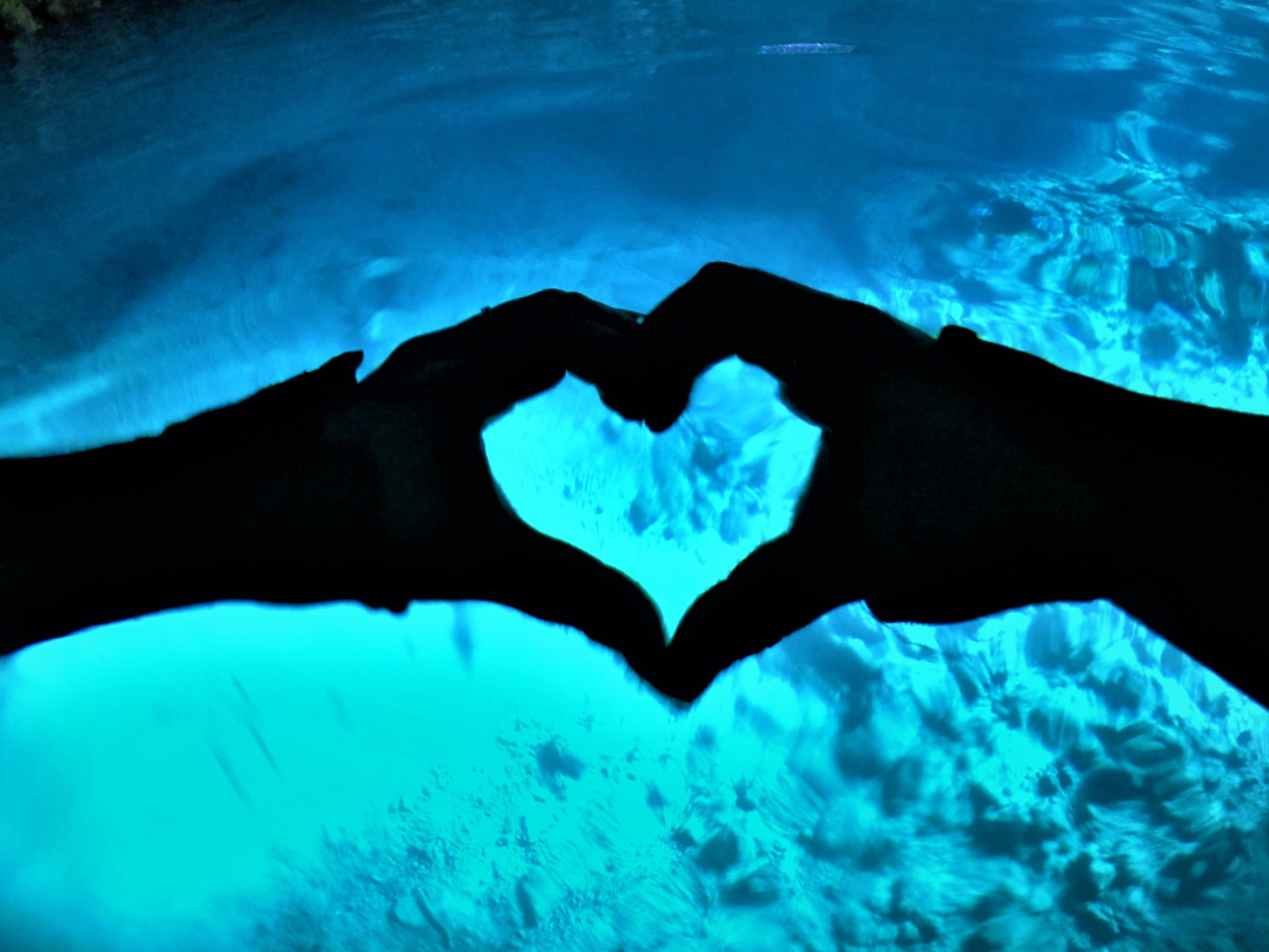 �̓��A�̓����