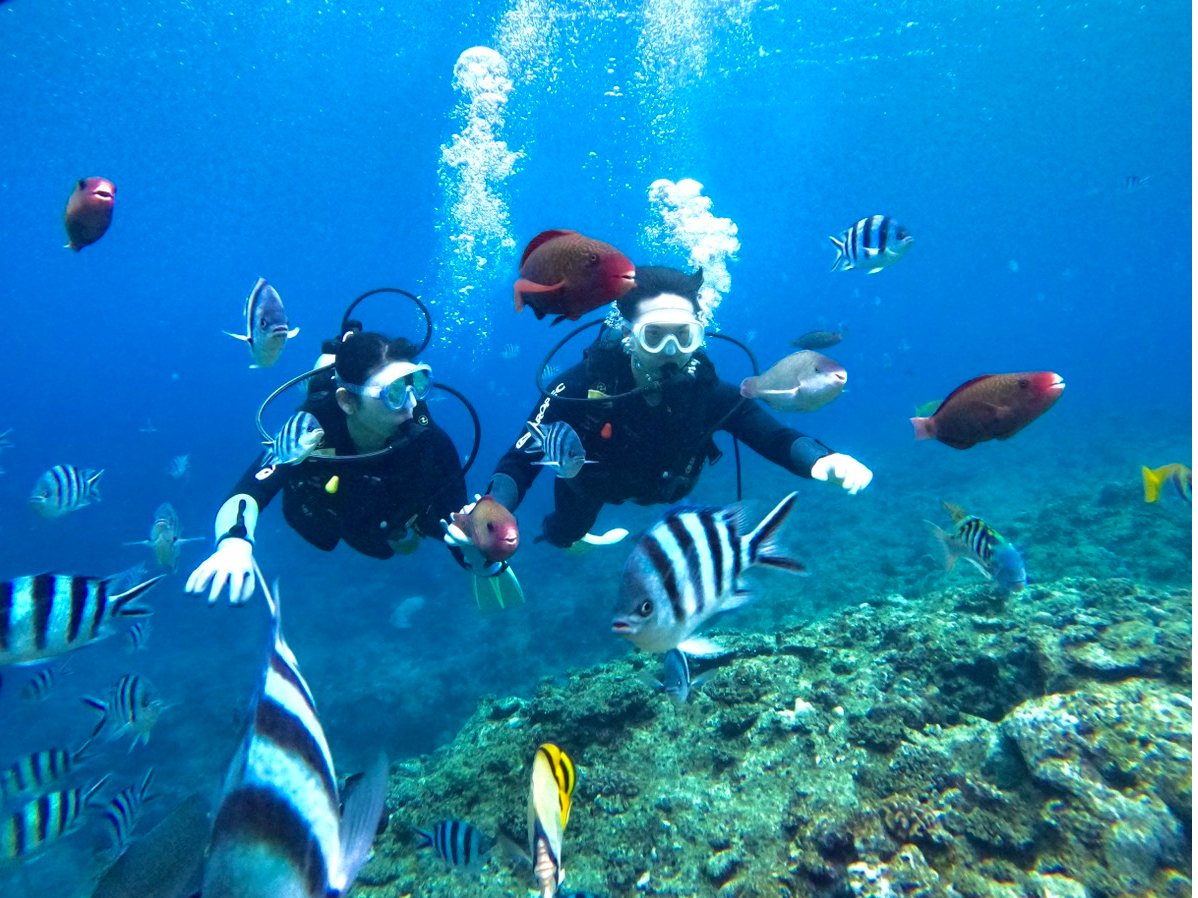 �����U��