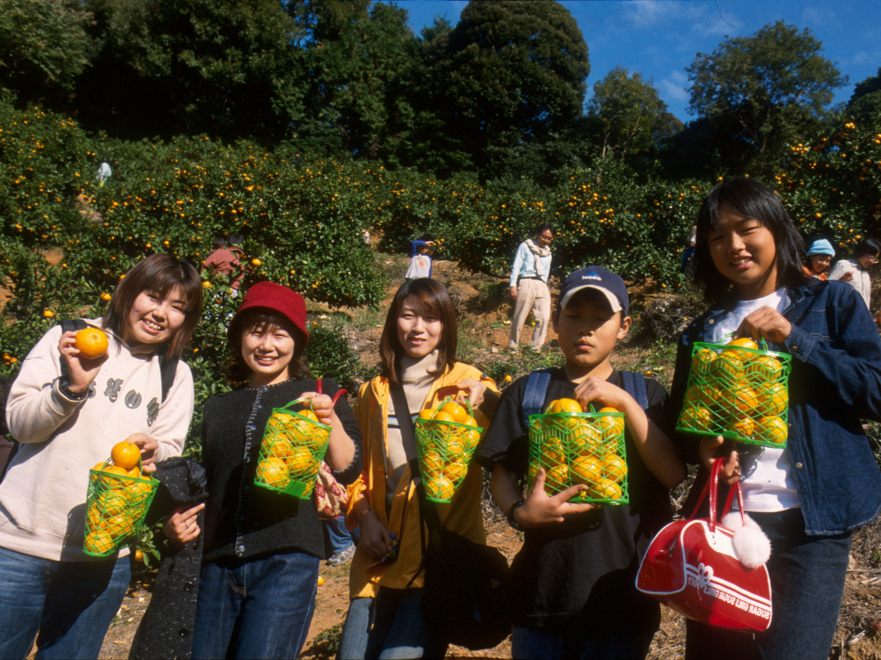 1L̂yY݂tł􂲎ły݂܂I