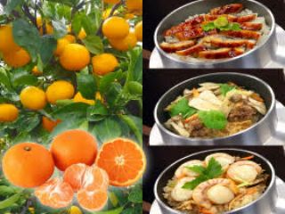 みかん狩り+お好きな釜めしをお選びいただけます♪