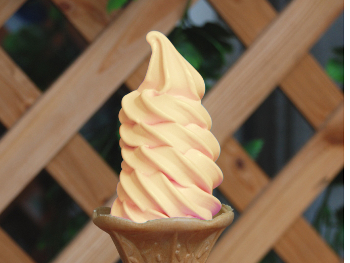 �\�t�g�N���[���t