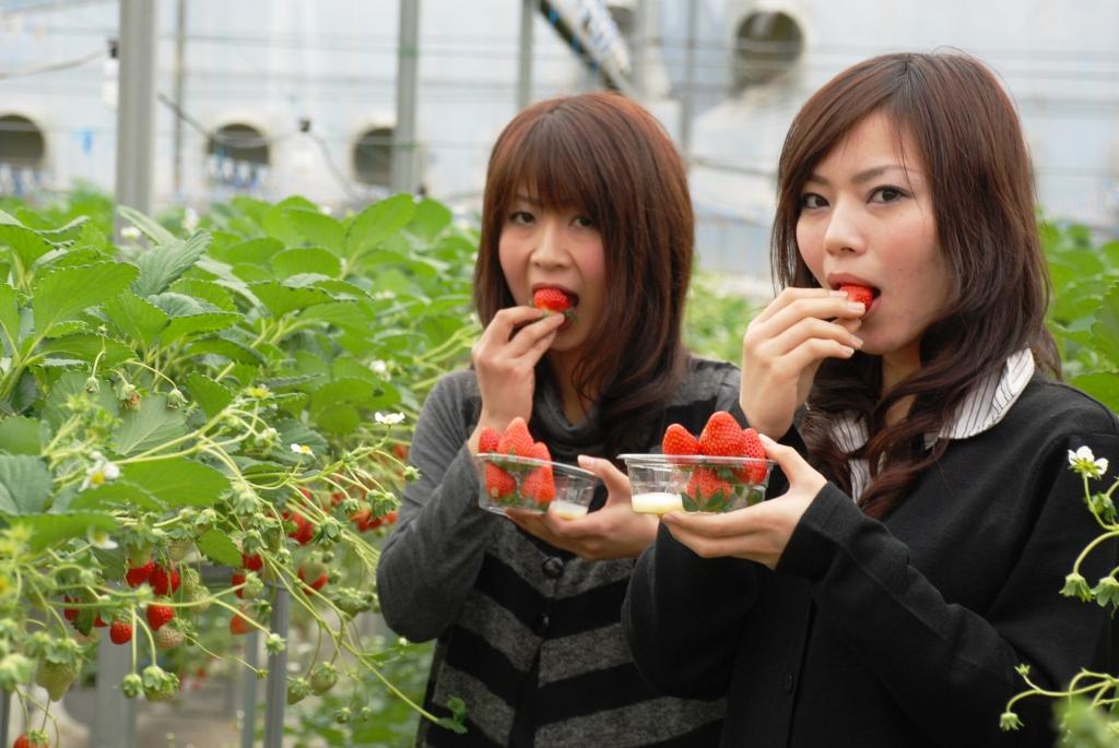 �������܂܂ł����v�􂨋C�ɓ���̂������������悤��