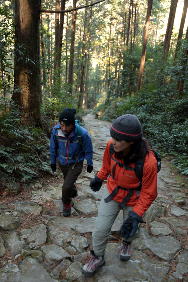 遊びのプロがガイドする 世界遺産 熊野古道 And絶景 象の背 どちらも体感 エコツアー 絶景ティータイム付き 小山ハウス じゃらん遊び体験