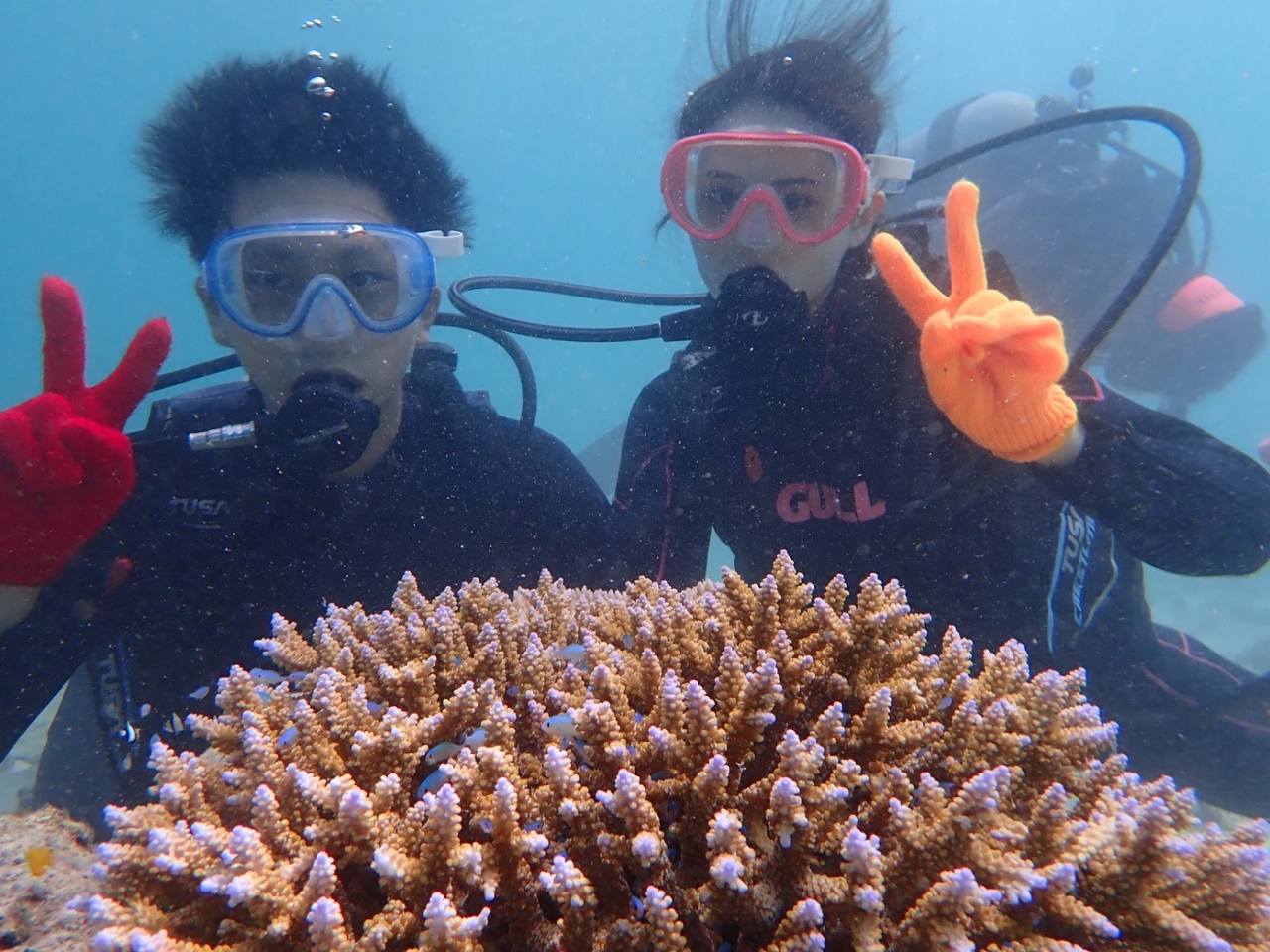 スペシャルマーメイドコース（マーメイドフォト人魚体験＆体験