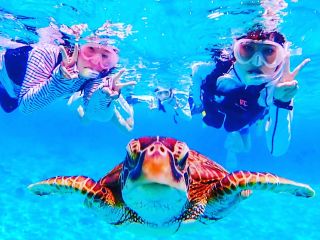 超絶3つのアクティビティ 石垣ブルー体験ダイビングと幻の島 上陸とウミガメシュノーケルツアー 1日コース 5時間 じゃらん限定 レンタル器材無料 水中写真プレゼント カップル 友人同士おすすめ サマードリーム 石垣島 じゃらん遊び体験 超絶3つのアクティビティ 石垣ブルー体験ダイビングと幻の島 上陸とウミガメシュノーケルツアー 1日コース 5時間 じゃらん限定 レンタル器材無料 水中写真プレゼント カップル 友人同士おすすめ サマードリーム 石垣島 じゃらん遊び体験